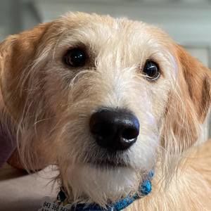 Meet your Posher, Kerri